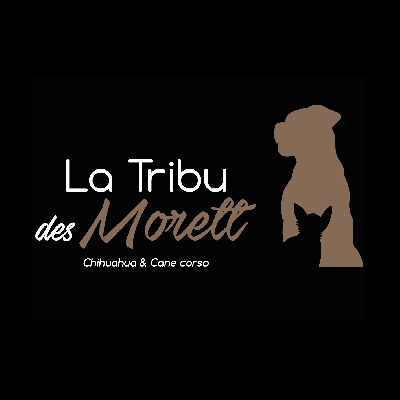 de la Tribu des Morett
